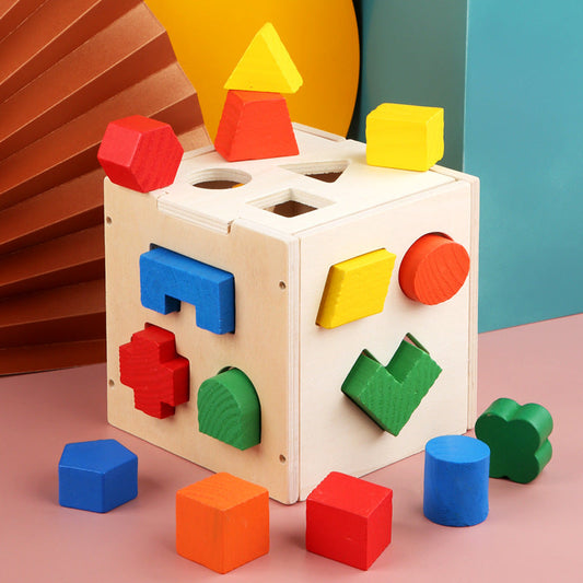 Classic Wooden Toy With 15 Shapes