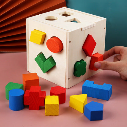 Classic Wooden Toy With 15 Shapes