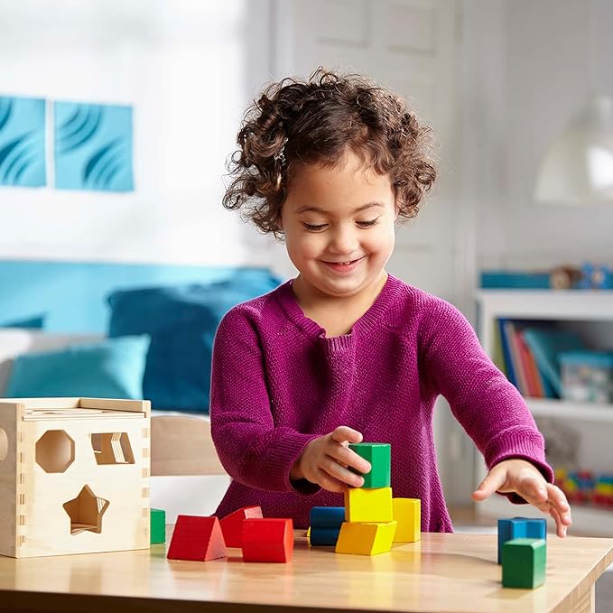 Classic Wooden Toy With 15 Shapes